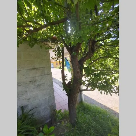 Casa Completa, Con Todo Lujo De Detalles A 50 Metros De Playa Y 200 Metros De Autopista